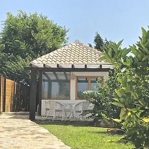 book here